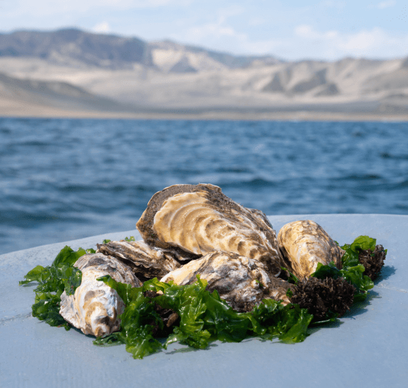 Sea-photograph
